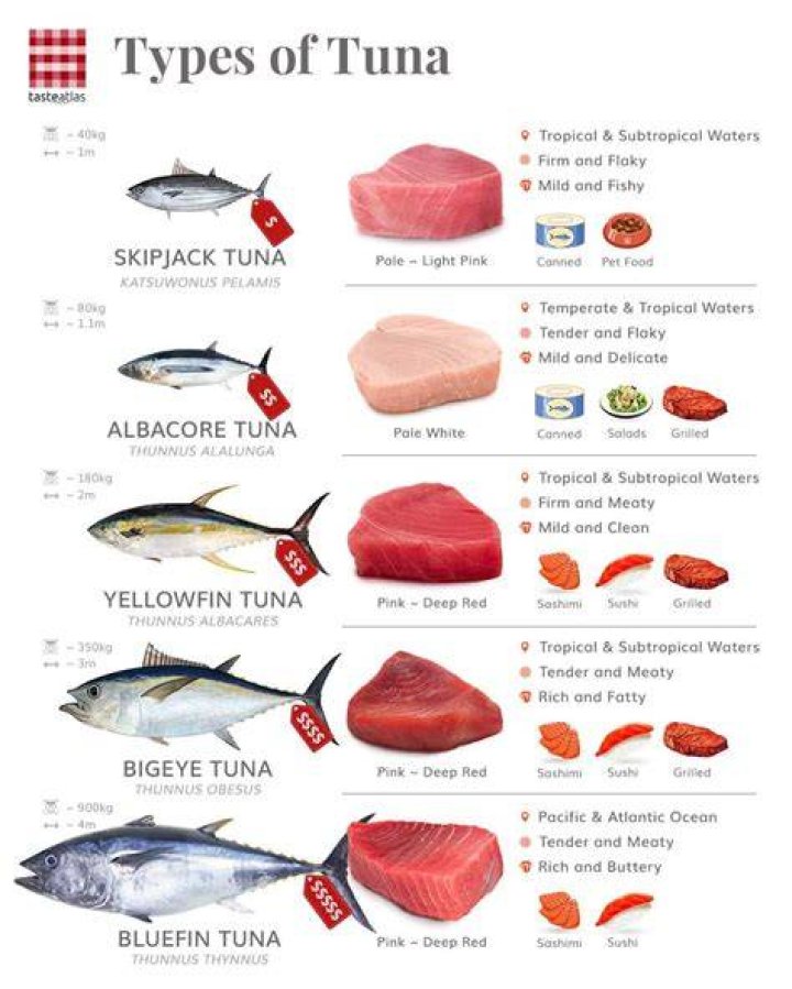 Flying Tuna’s Girlfriend: Who is Flying Tuna Dating?