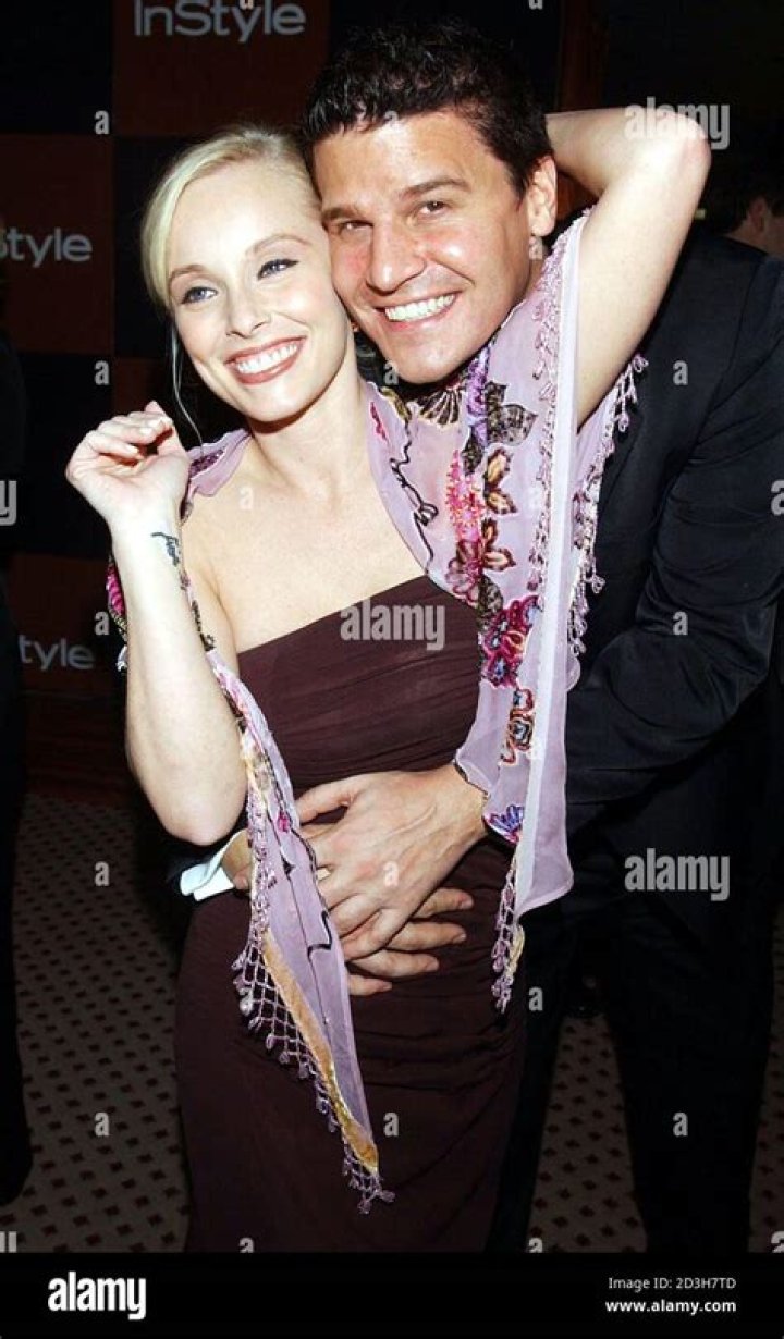 Jaime Bergman, David Boreanaz's Wife