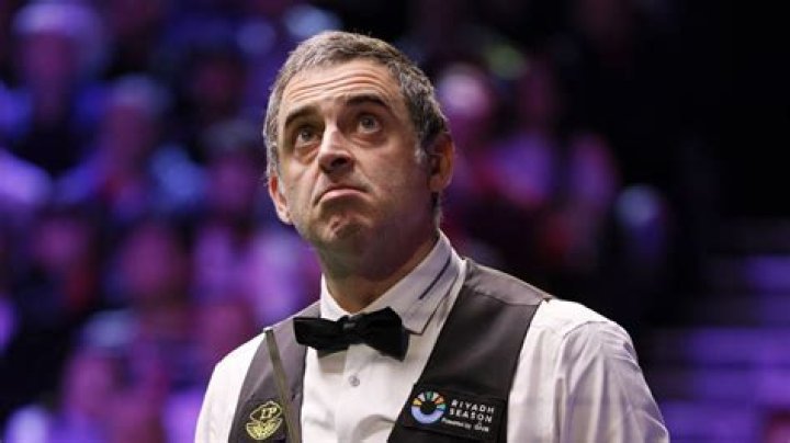 Ronnie O'Sullivan, Laila Rouass's Boyfriend
